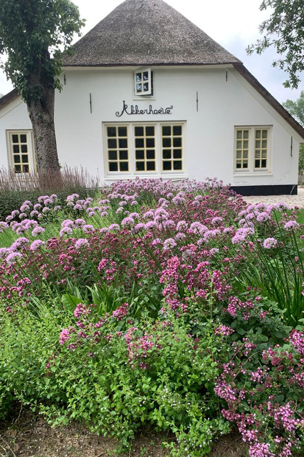 tuinplan beplantingsplan scherpenzeel omgeving utrecht gelderland